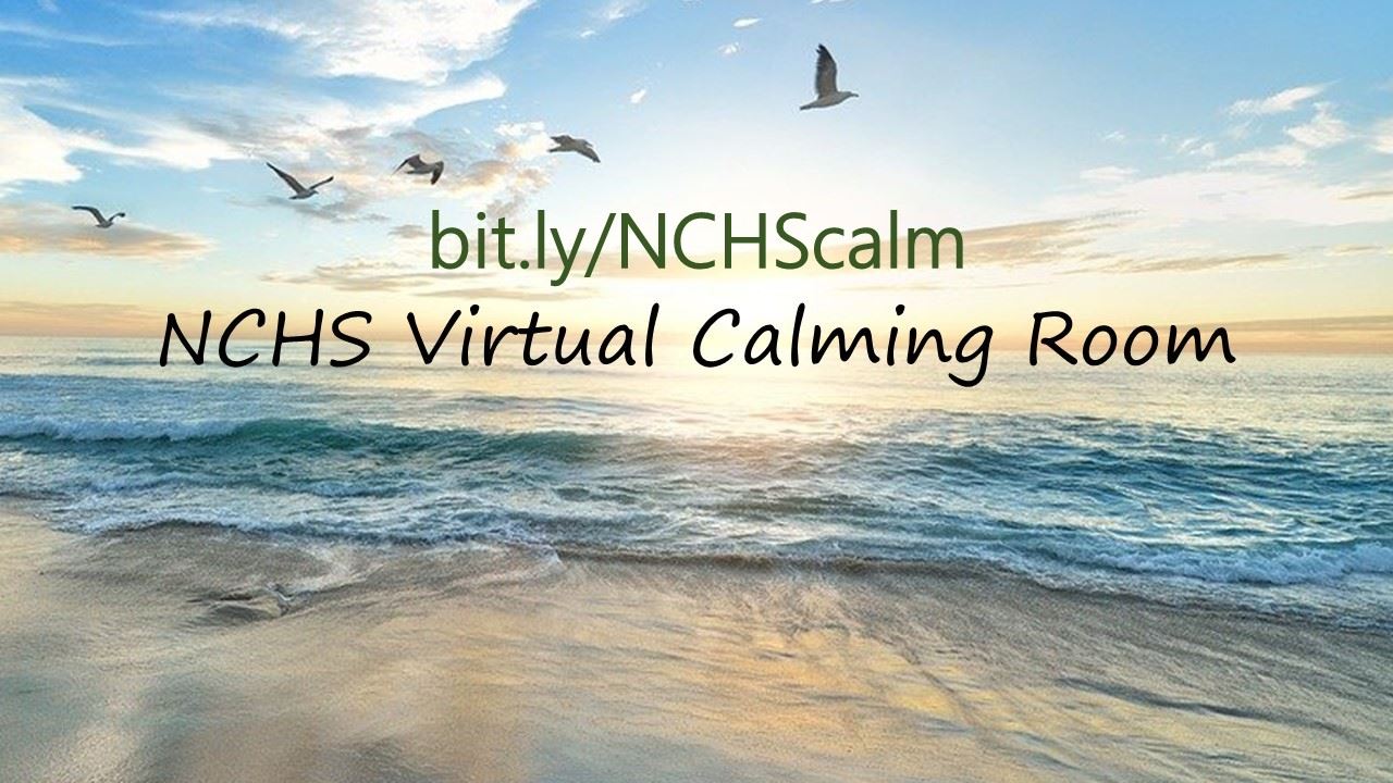  Virtual Calming Room